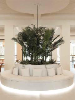 Memphis Vitality Hotel - Memphis - 8