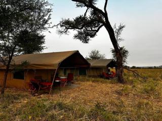 Sadanga & Sons Mobile Camp Safaris - Mugumu - 2