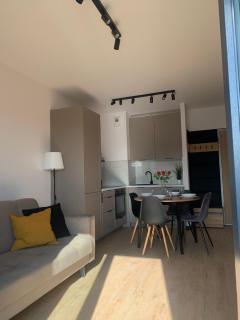 Stylish Apartament in the city center Lodz - Łódź - 0