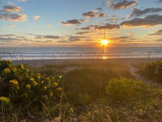 Seascape - OCEANFRONT Luxury Home with Private Beach - Indian Harbour Beach - 9