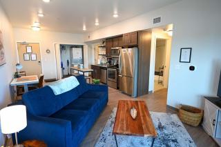 Brand New 2 Bedroom Apartment Steps from Mayo! - Rochester - 0