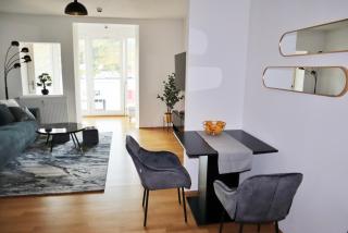 Exklusives vollmöbliertes Apartment im Herzen von Bad Mergentheim - Bad Mergentheim - 1