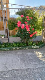 Green Dilijan B&B - Dilijan - 7