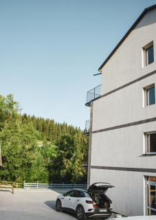 D&T Hotel - Ilʼtsya Dolishna - 9