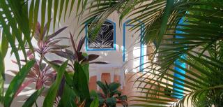 chambre bungalow2 - El Hoyo del Cacao - 7