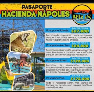 Habitación Múltiple cerca a unas cuadras del Santorini colombiano - 3