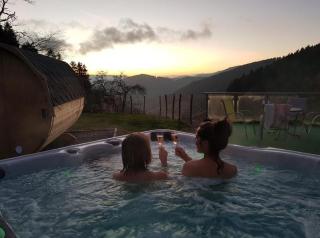 Loft mit Whirlpool & Fass-Sauna im Schwarzwald - Neuenbach - 0
