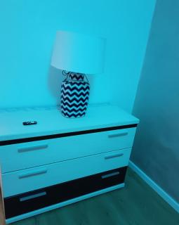 Apartament de lux cu terasa - 9