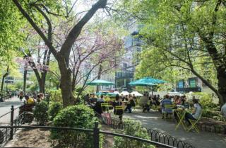 Heart of Downtown Manhattan - Stylish One Bedroom Apartment in Vibrant Union Square - New York - 1