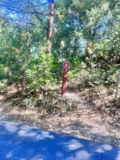 Sierra Haus Cottage with Private Lake Access - Sonora - 1