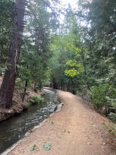 Sierra Haus Cottage with Private Lake Access - Sonora - 2