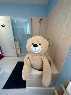 Le Calme Relaxant Chambre Privative - Castres - 2