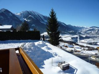 Appartement Bergkristall - Sankt Johann im Pongau - 9
