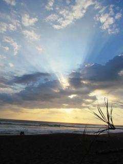 #17A Hermosa Beach Bungalow 1st floor 1 bedroom Apt - Playa Hermosa - 6