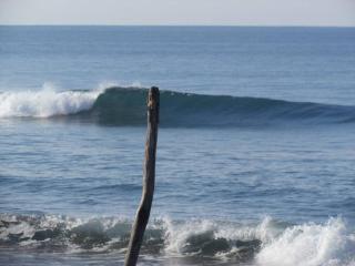 #17A Hermosa Beach Bungalow 1st floor 1 bedroom Apt - Playa Hermosa - 5