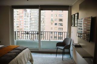 HOM Acogedor Studio en Calle Carmen Santiago Centro - Santiago - 6