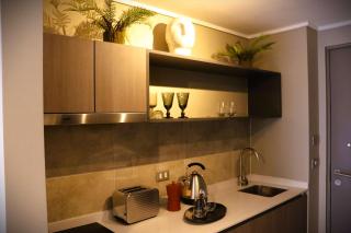 HOM Acogedor Studio en Calle Carmen Santiago Centro - Santiago - 5
