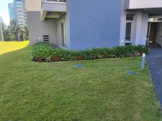 Forest88 - Punta del Este - 4