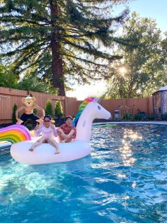 NEW cozy beautiful house with pool and hot tub - Fair Oaks - 0