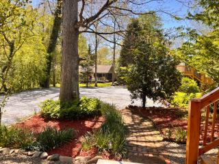 Modern & Cozy on Private Lane, Minutes to Airport - Fletcher - 7