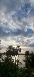 Villa Rose - Luxor - Luxor - 2