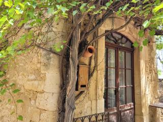 Maisonnette provençale - Simiane-la-Rotonde - 7