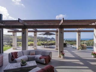 Te Punga Lodge - Whangapoua Beach Luxury Villa - Whangapoua - 4