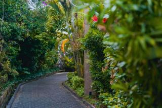 Vacha 1 BR Ocean Suite View ZN223 - Nusa Dua - 8