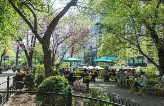 Lovely Room at 3 bedroom Apt at the heart of East Village - New York - 7
