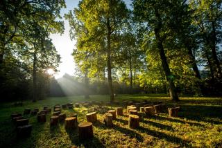 Drevny Grad Park-hotel - Lviv - 1