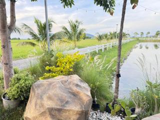 November Garden ชัยนาท - - 8