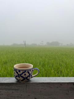 Nan View Farmer Lumduan Homestay - Nan - 8