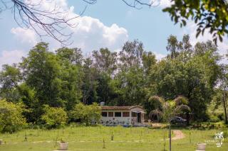 The Kablan Ranthambore - Sawāi Mādhopur - 8