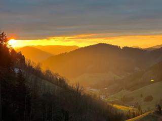 Loft mit Whirlpool & Fass-Sauna im Schwarzwald - Neuenbach - 9