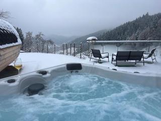 Loft mit Whirlpool & Fass-Sauna im Schwarzwald - Neuenbach - 5