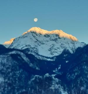 Green Lodge - Obertraun - 9