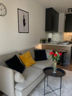 DeLux Apartament on Targowa in the center of Łódź - Łódź - 2