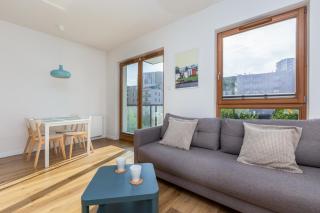 Nova Letnica Sunny Studio - - 7