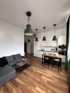 Luxury Loft Apartament Tymienieckiego street - Łódź - 9