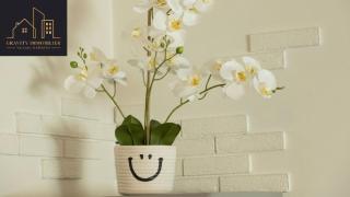 Studio 4pers - CHIC - Marignier - Marignier - 2