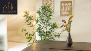 Studio 4pers - CHIC - Marignier - Marignier - 1