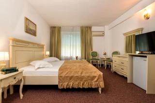Hotel Cornul Vanatorului - Piteşti - 6