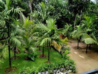 Mitra retreats - 8