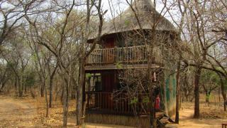 Honeyguide Ranger Camp - Golders Green - 6