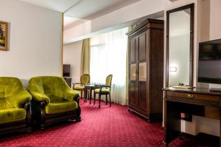 Hotel Cornul Vanatorului - Piteşti - 7