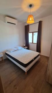 appartement 2 pièces rénové de 45 m2, à 2 pas du centre historique - 4