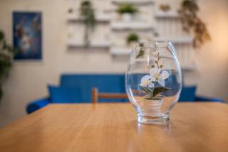 Green Haven - Milan Apartment Free Parking - Milan - 3