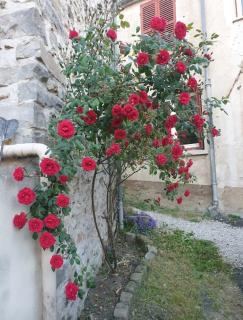 Chez Nadège - Marcoussis - 8