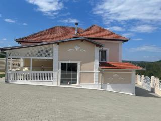 Cincis Hause - Teliucu Superior - 8
