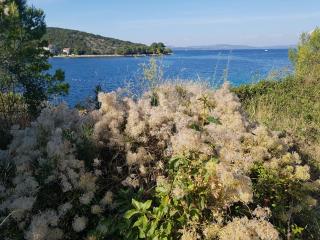 ISLAND OASIS - apartment with large bedroom & terrace with amazing sea view - Zaglav - 3